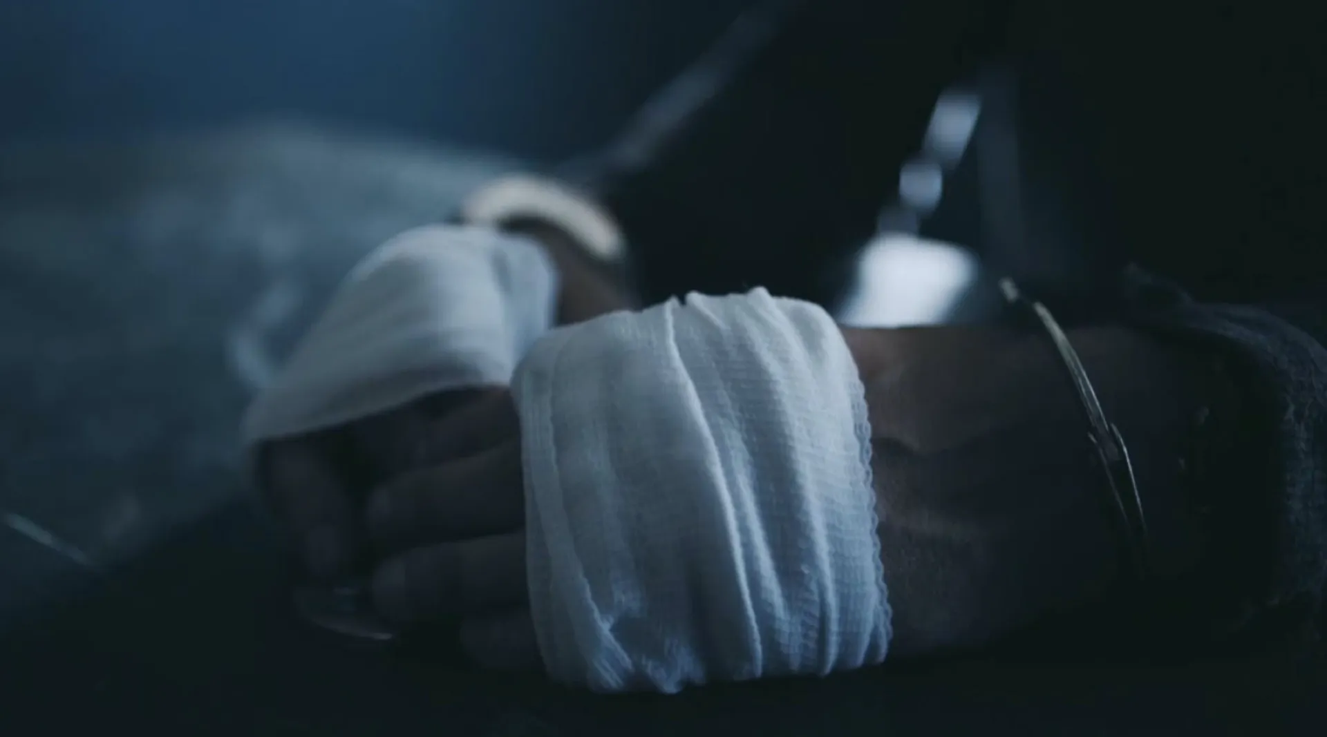 Banner de Brawl in Cell Block 99