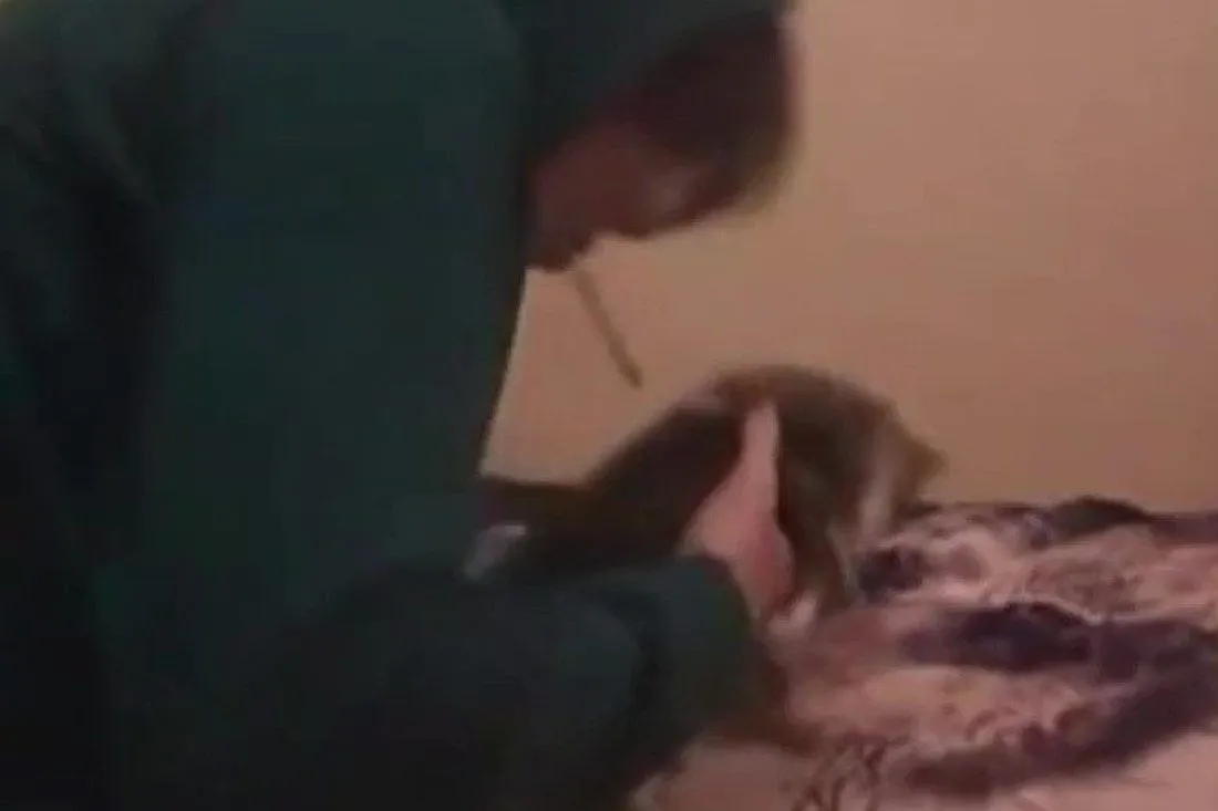 dont-fk-with-cats-hunting-an-internet-killer-01