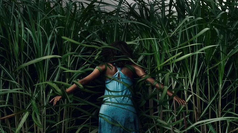 Banner de In the Tall Grass