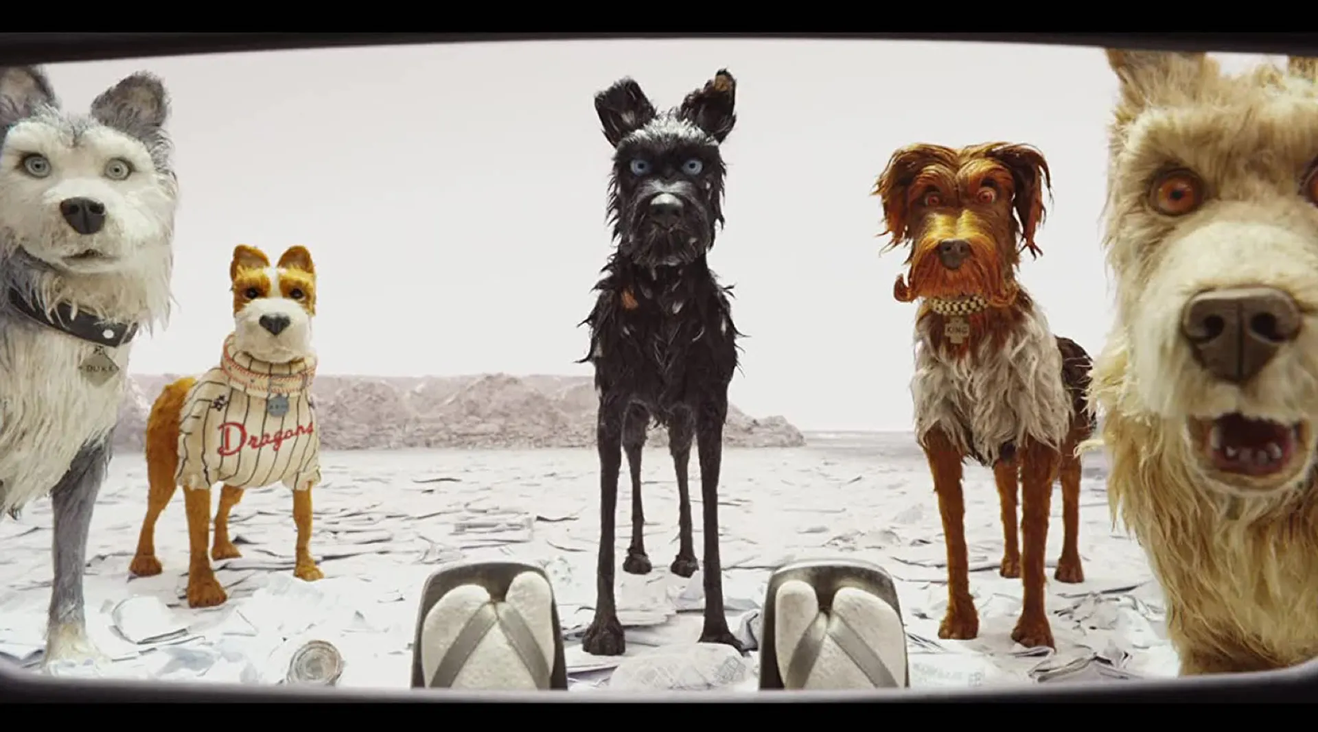 Banner de Isla de Perros