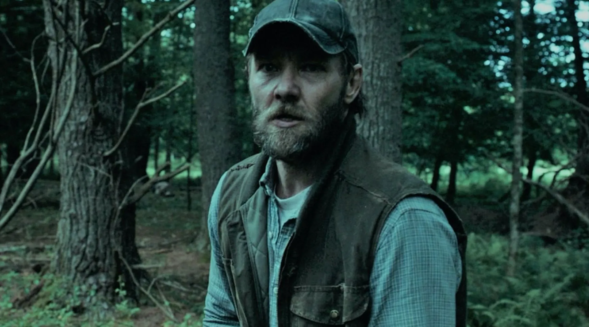 Banner de It Comes at Night