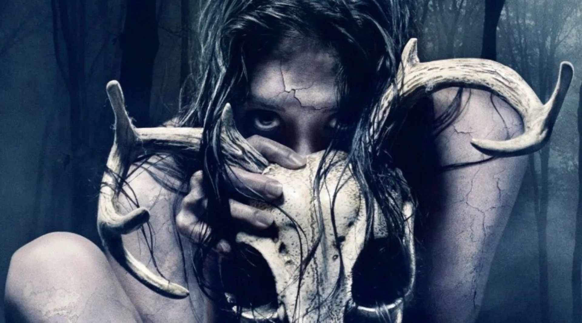 Banner de The Wretched