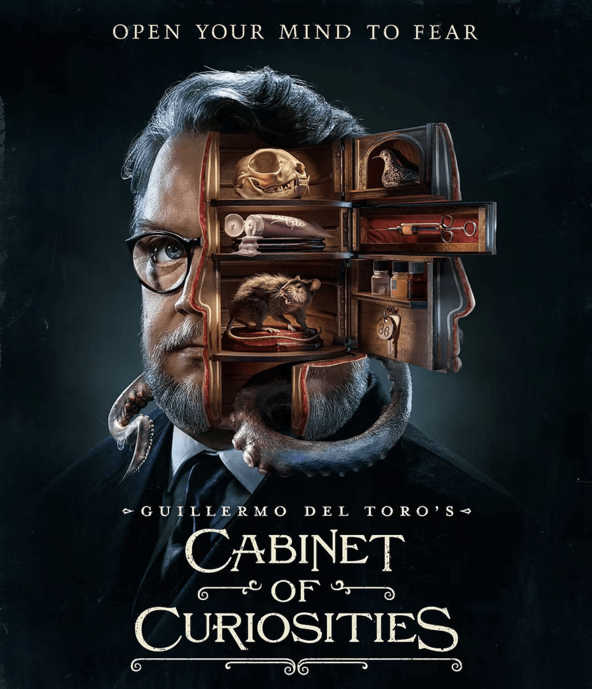 cabinet-of-curiosities-00